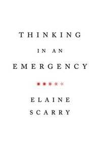 The cover of Thinking in an Emergency