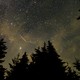 Photograph of the night sky over evergreen trees