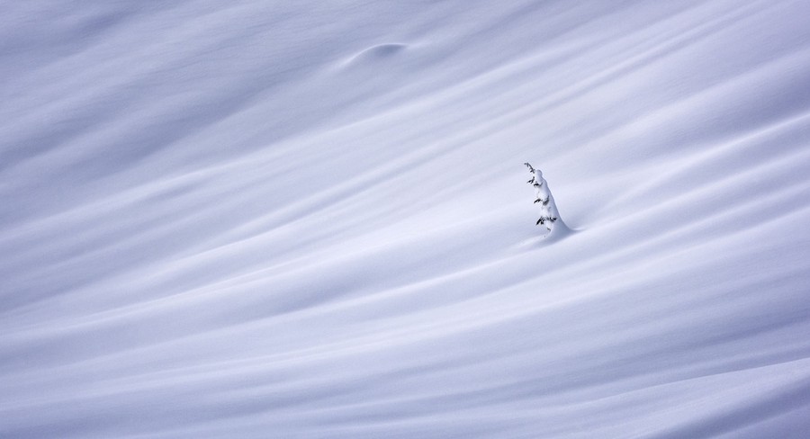 Winners of the 2020 Epson International Pano Awards