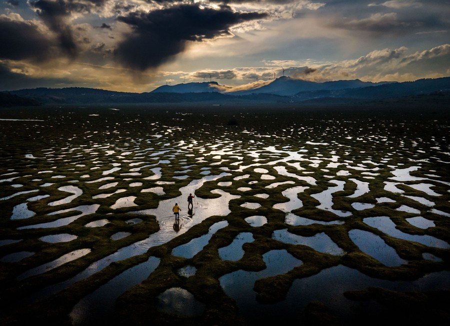 Two people walk through a broad wetland dotted with many ponds, puddles, and streams.