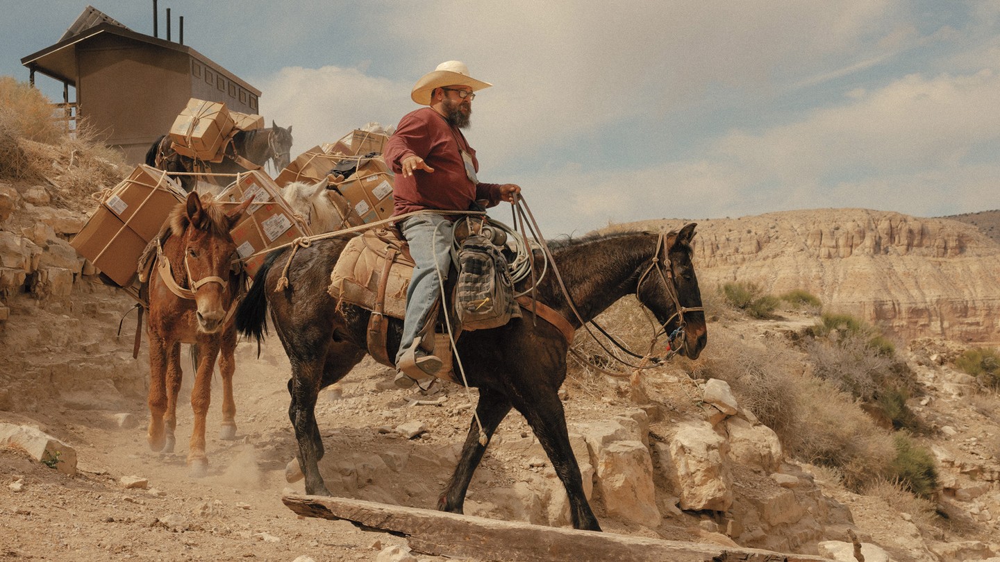 photo of bearded man in cowboy hat riding and leading train of mules covered in packages and boxes down dusty trail with canyon rim in background