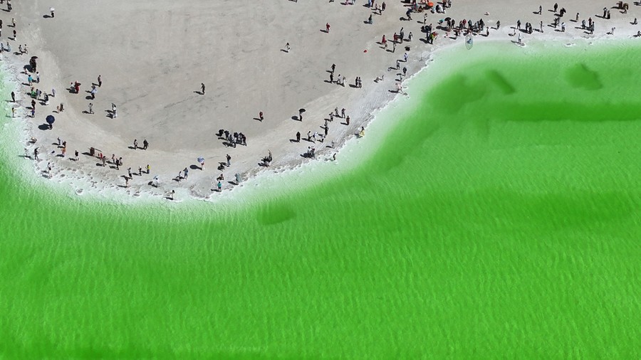 An aerial view of the shoreline of a salt lake with green water