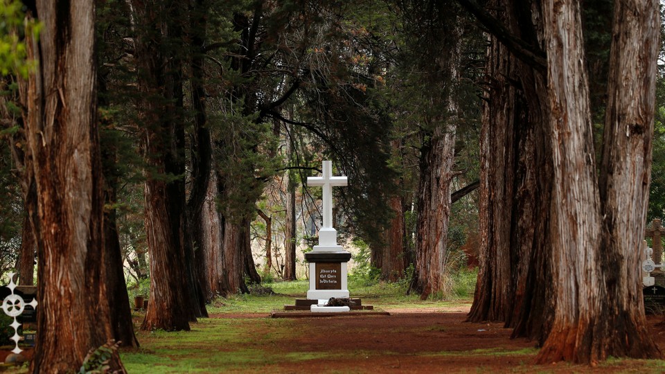 A grove of trees and one grave, marked by a large, white cross
