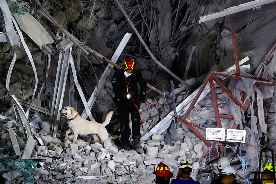 A rescue dog works on a pile of rubble on the site of a collapsed building, alongside several rescue workers.