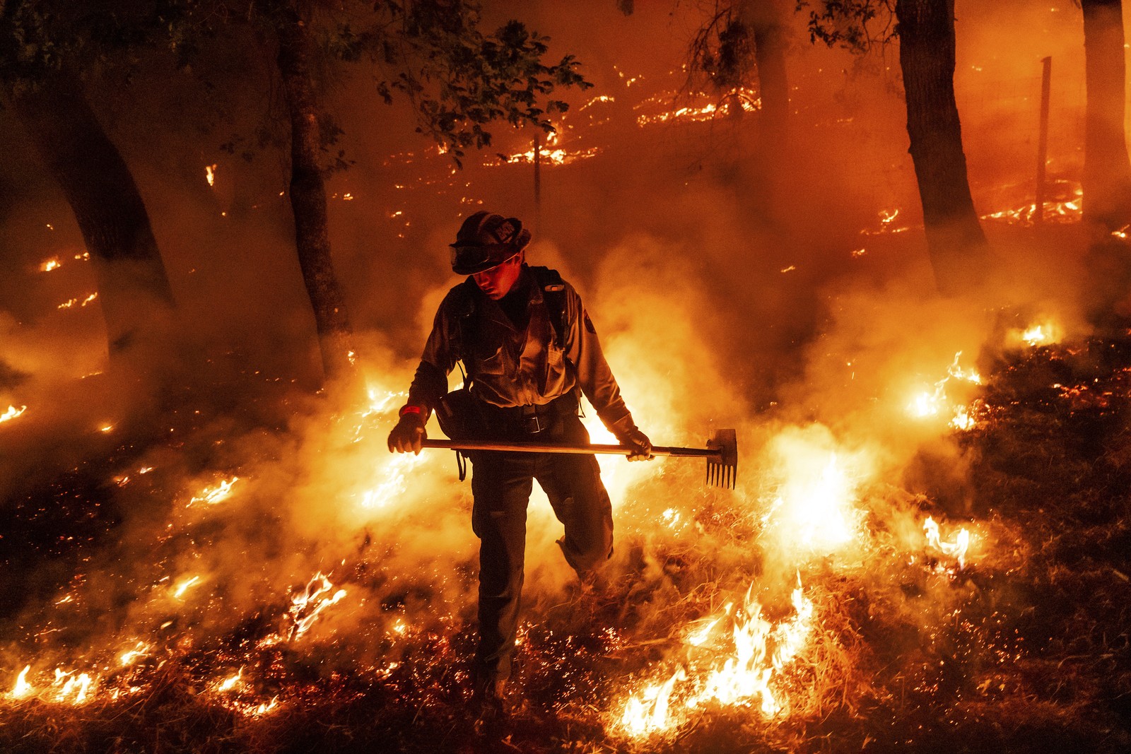 A firefighter holds a rake, working in a forest as flames burn all around.