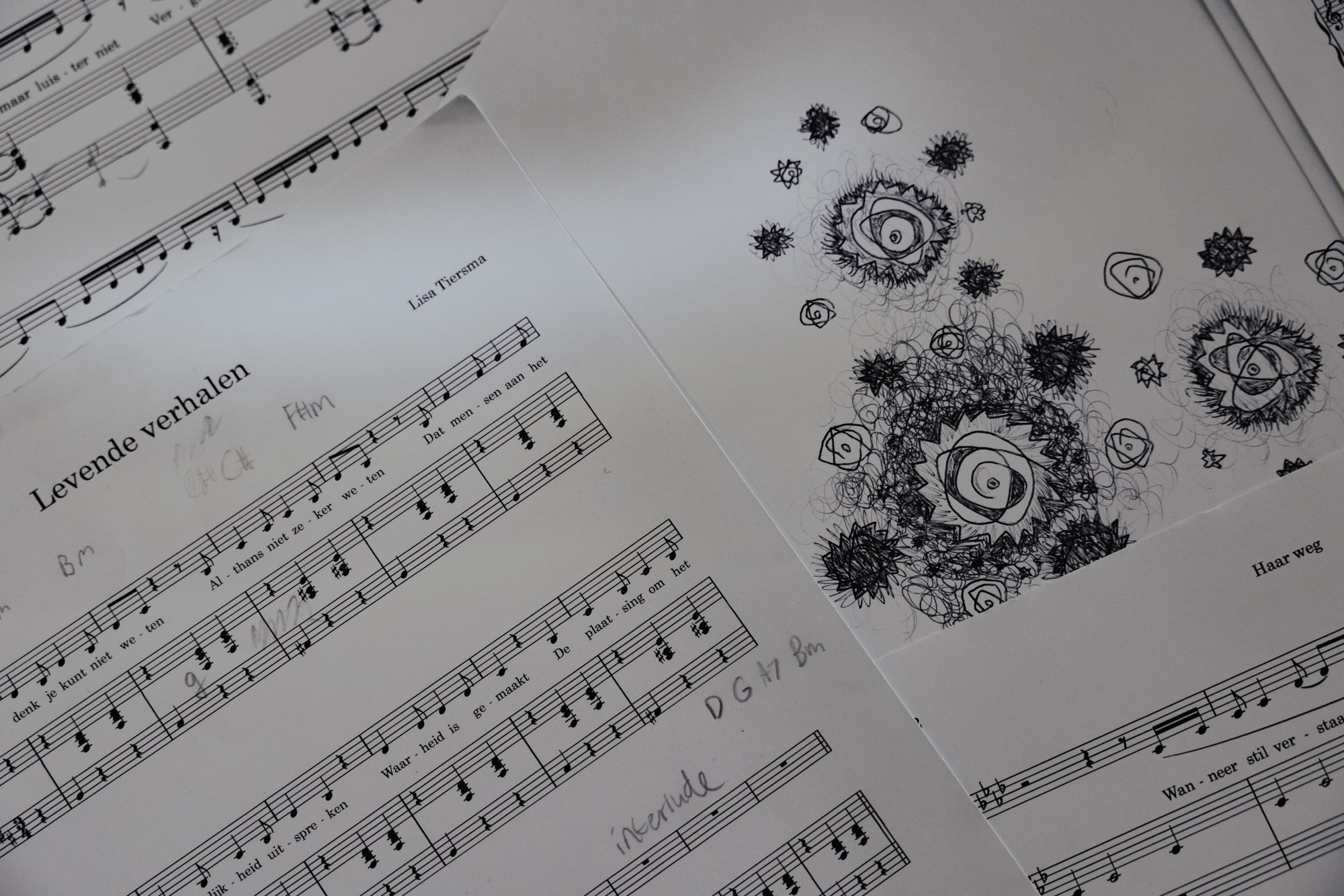 2026-03-13_oosterhoff -2.jpg