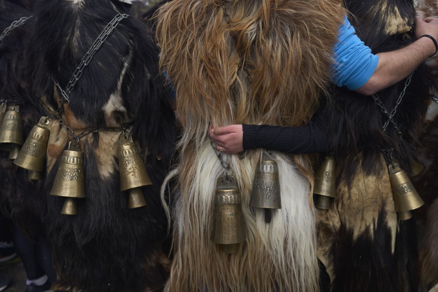 A back view of several people wearing animal-skin costumes, with large bells hanging from chains around their bodies.