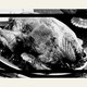 Black-and-white photo of a roast turkey