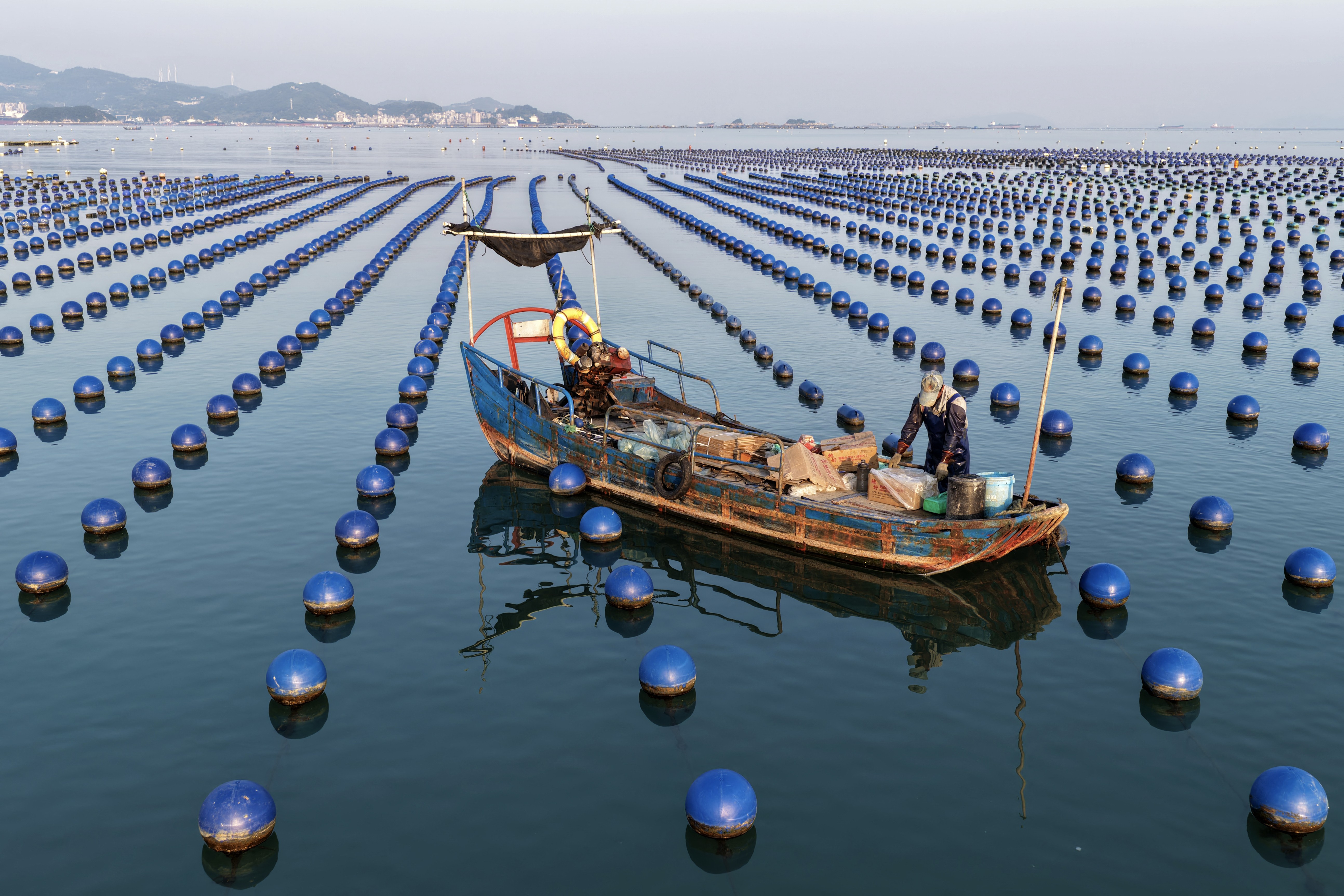 A person works aboard a small boat amid many spherical floats in an abalone farm.