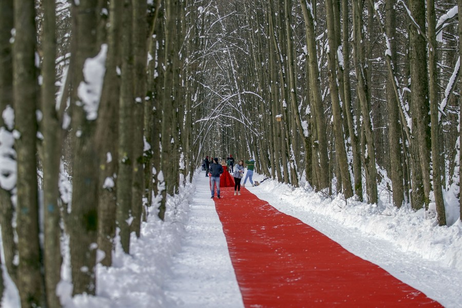 People walk along a long red strip on a path through a snow-covered forest.