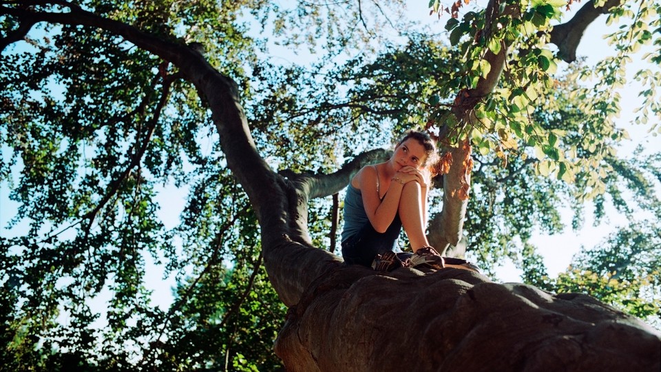 A girl sitting on branch of a large tree