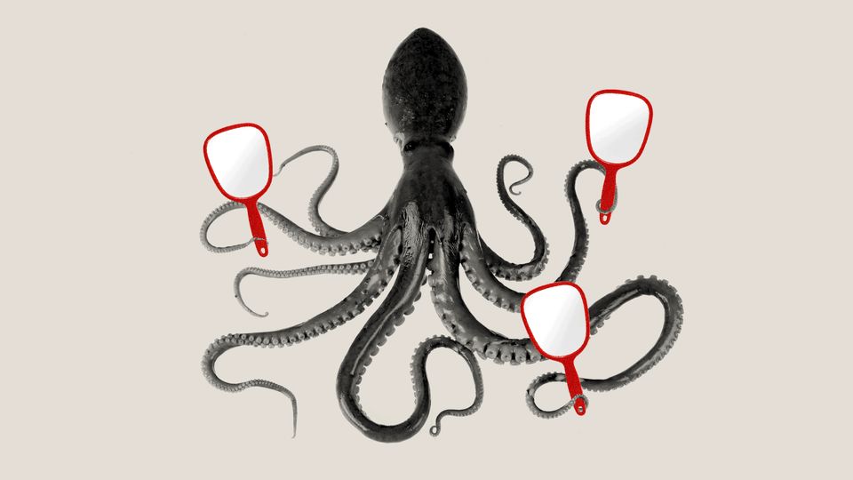 An illustration of an octopus holding a few red-framed mirrors in its arms