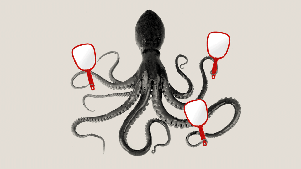 New piece idea: the Octopus. It can reach in 8 directions as shown, just  like a real octopus it can slither between pieces and from this position  can reach the rook on