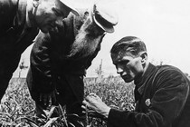 Trofim Lysenko measures the growth of wheat in a field while two men watch.