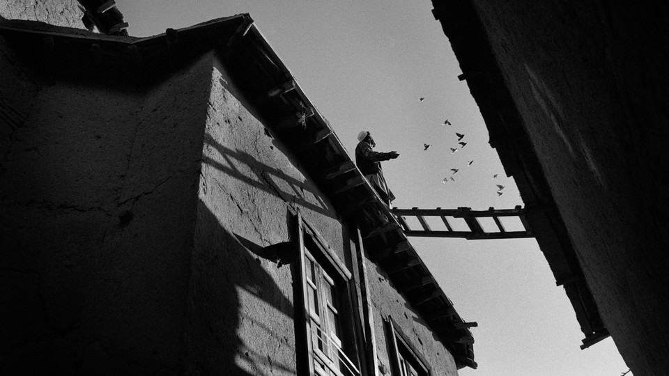 A black-and-white photo of a man looking up at some nearby birds from a rooftop