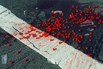 a container of red currants, shattered on the ground in a parking lot