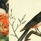 collage illustration with yellow bar, part of red-orange flower; bird perching on branch