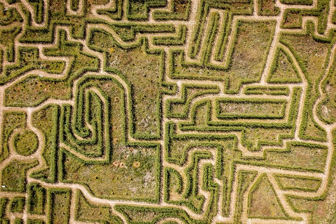 hedge labyrinth in Denmark