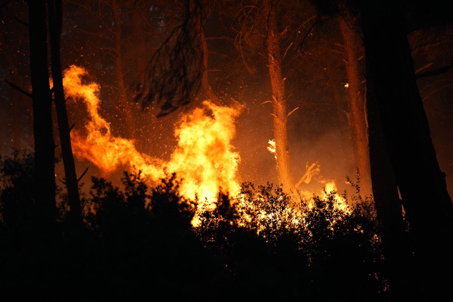 Trees erupt in flames at night, during a wildfire.
