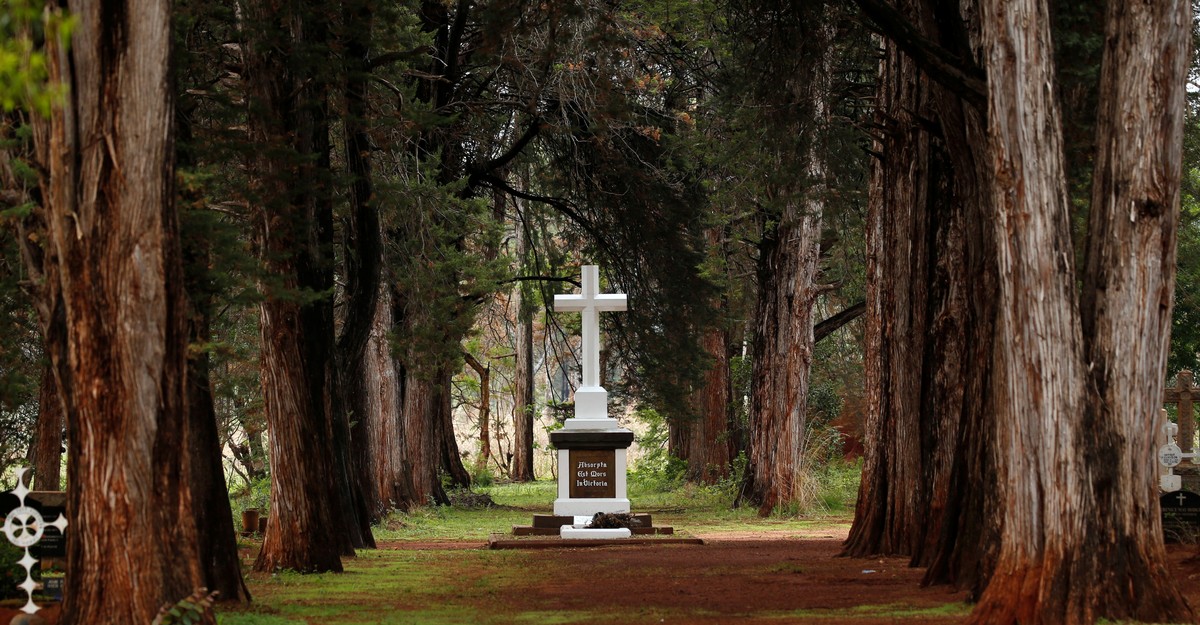 The Predictable March of Corpse-Eating Microbes - The Atlantic