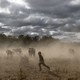 Harry Taylor plays on the dust bowl his family farm has become during the drought, in the Central Western region of New South Wales, Australia.