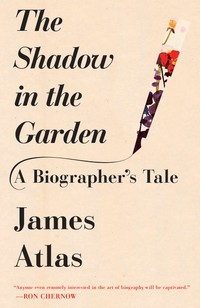 The cover of The Shadow in the Garden