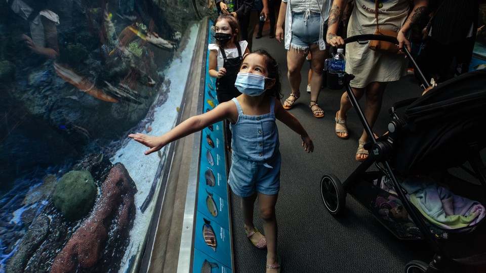 A masked girl touches an aquarium.