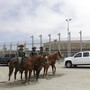 Border Patrol agents near Tijuana, Mexico