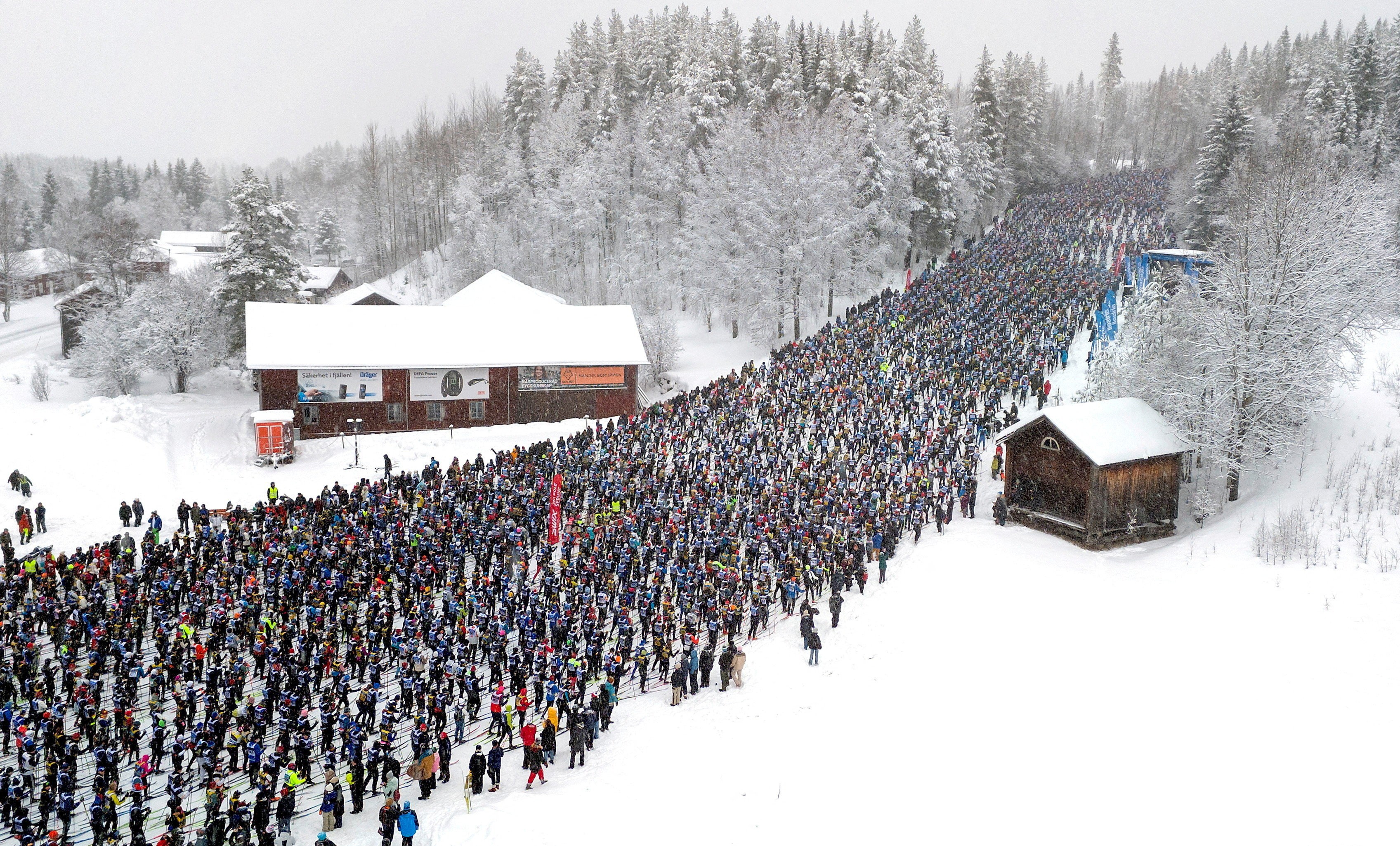 Hundreds of cross-country skiers stand in a broad line at the mass start of a race.