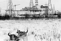 A black-and-white photo of two dogs playing in the snow, an abandoned power plant behind them