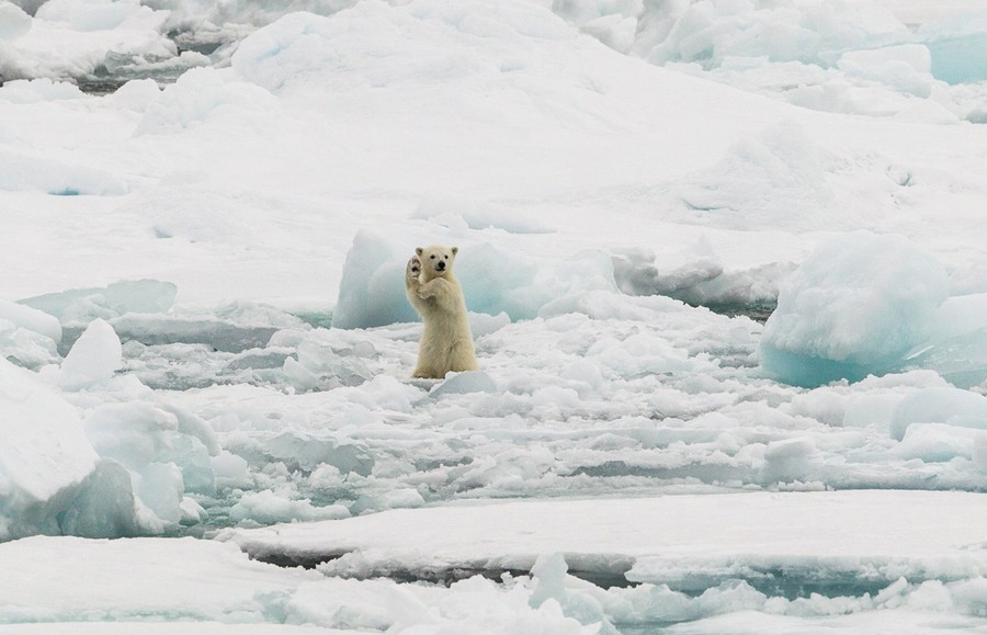 2014 National Geographic Photo Contest - The Atlantic