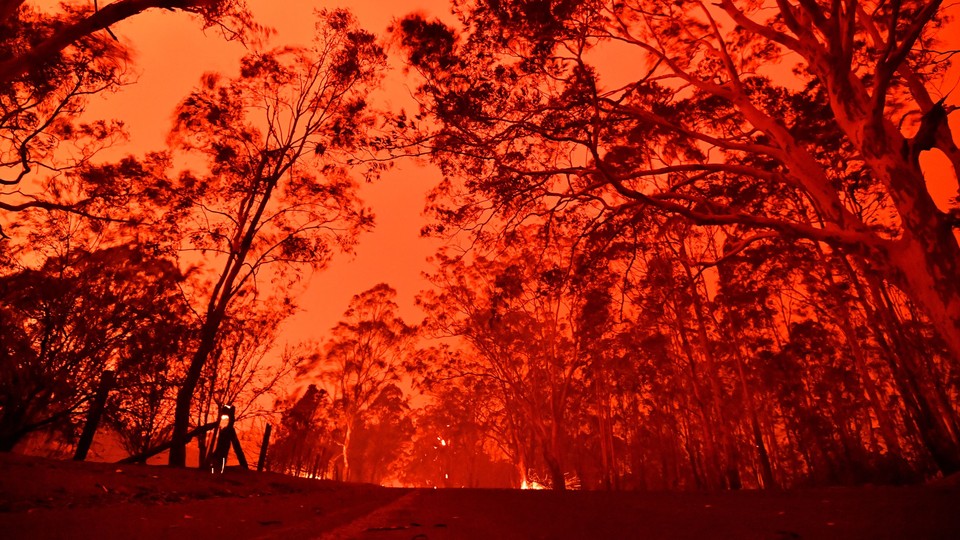 The red sky in Australia, a result of the wildfires.