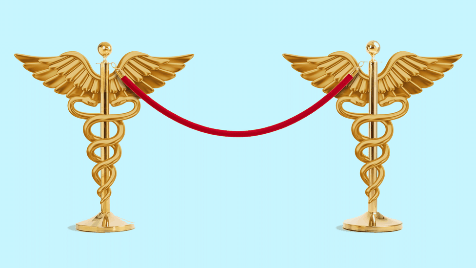 Two caducei with a velvet rope strung between them