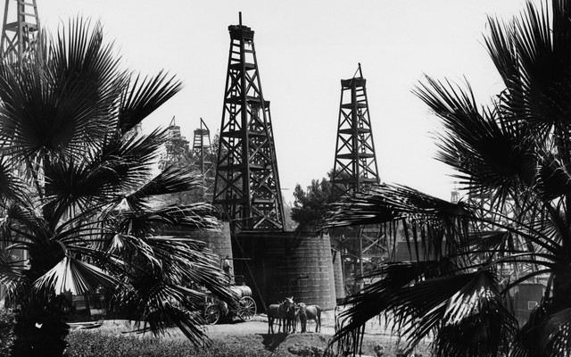 Horses stand beneath oil derricks and palm trees in this black-and-white photo of Los Angeles, California.