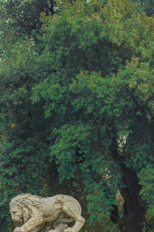 City Tree Yeti Rambler – City Trees