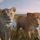 Two lion cubs in “Mufasa”
