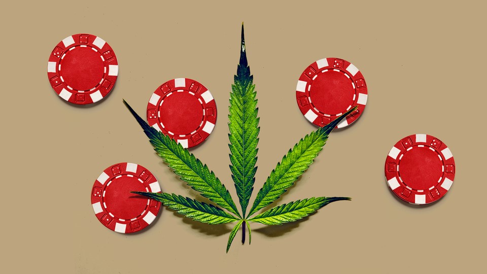 Illustration that shows a marijuana leaf and gambling tokens