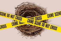 a nest with caution tape on top