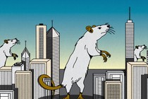 An illustration of rats among skyscrapers