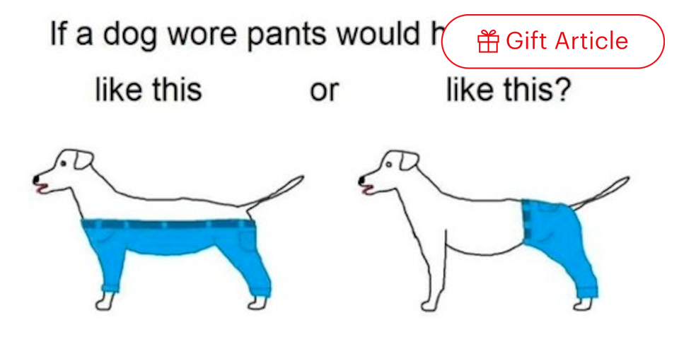 Dog Pants Should Have Four Legs An Argument From Linguistics