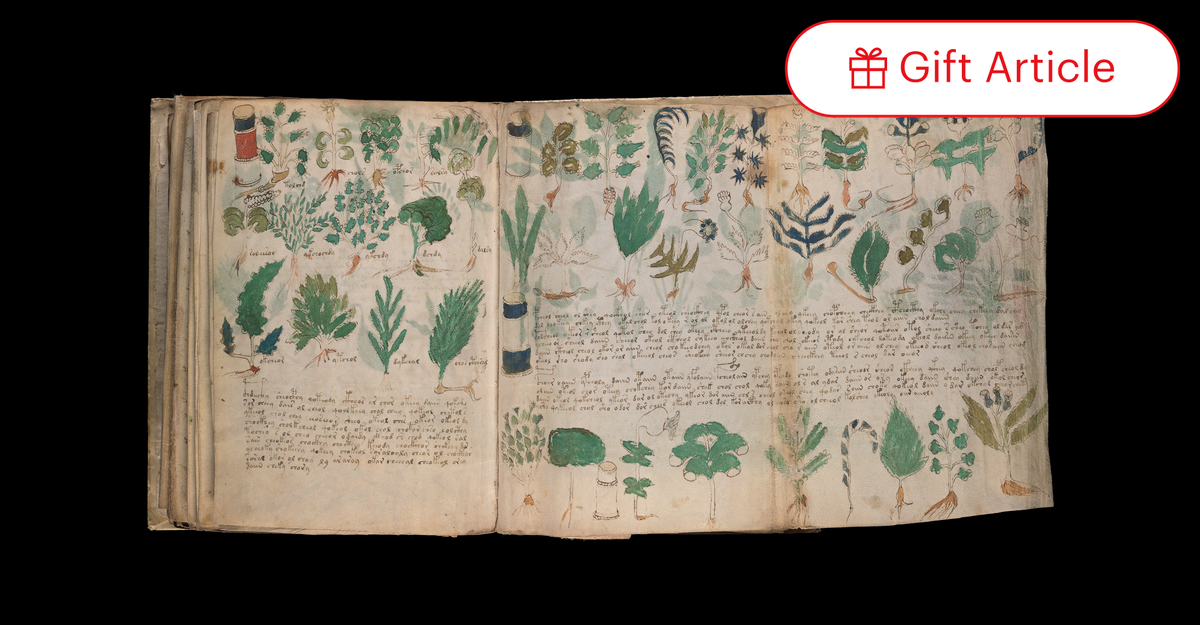 Will the Mystery of the Voynich Manuscript Ever Be Solved? - The