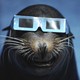 A sea lion wears eclipse glasses.