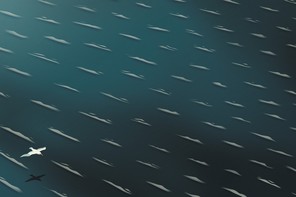 A vast expanse of water with whitecaps, with a single albatross flying and casting a shadow at lower left