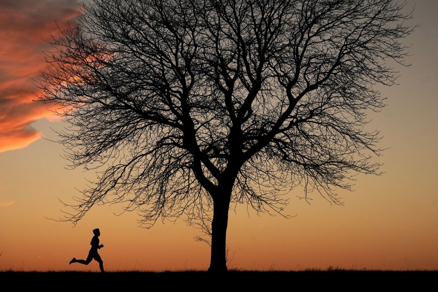 A young person runs beside a tree, in silhouette, at sunset.