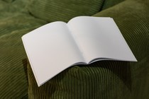 White empty magazine on green velvet sofa