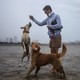 A man plays with two dogs in the drained bed of Hillsborough Bay with the Tampa skyline in the background.
