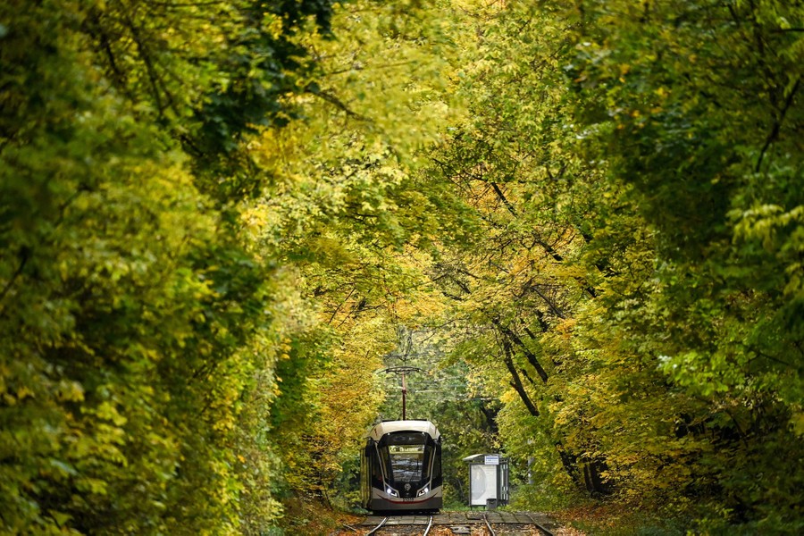 A tram goes through a park on an autumn day.