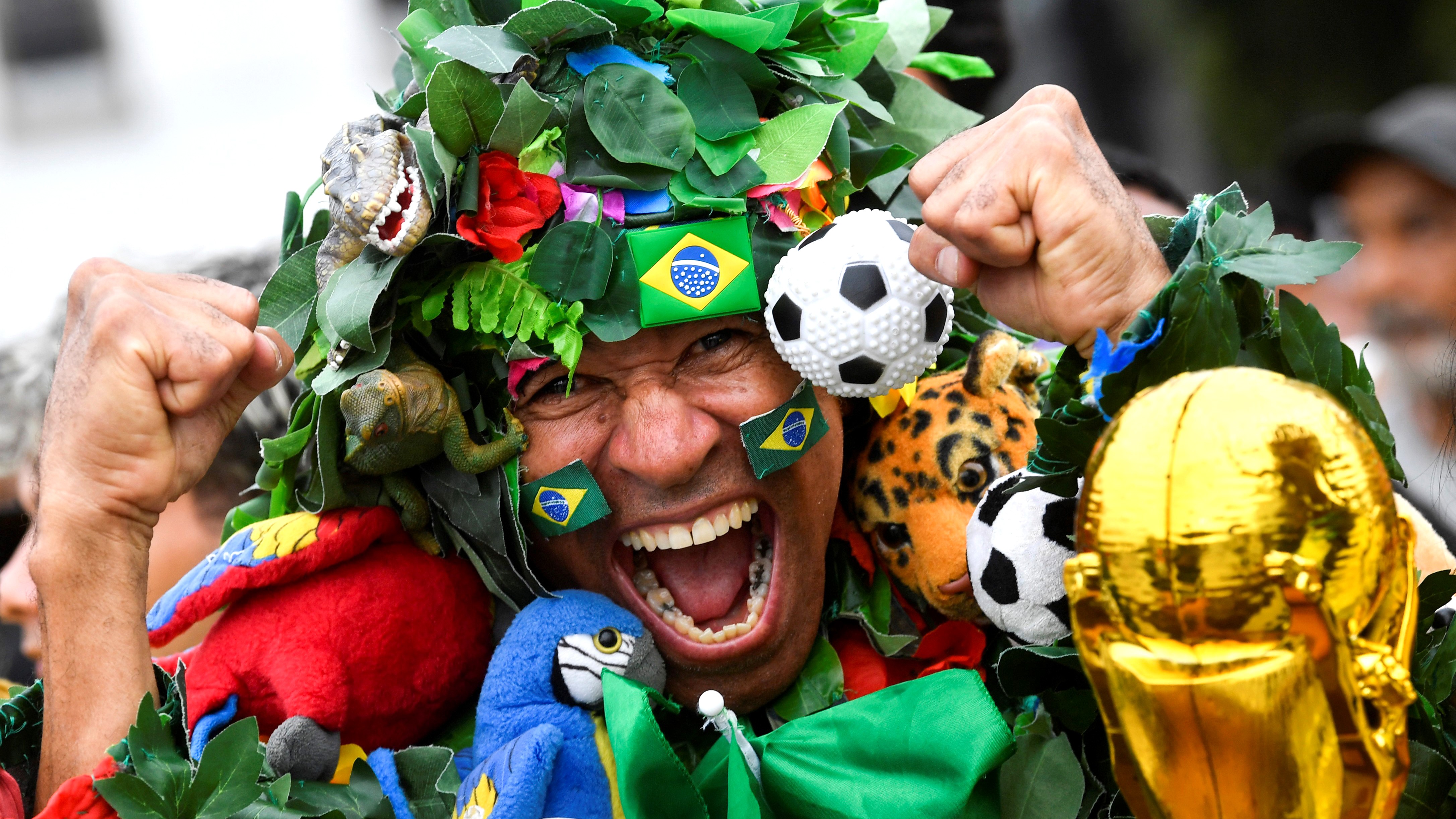 Photos: The Passion of World Cup Fans