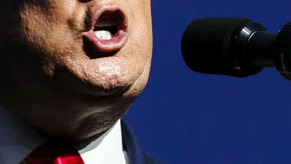 A photograph of Donald Trump speaking into a microphone