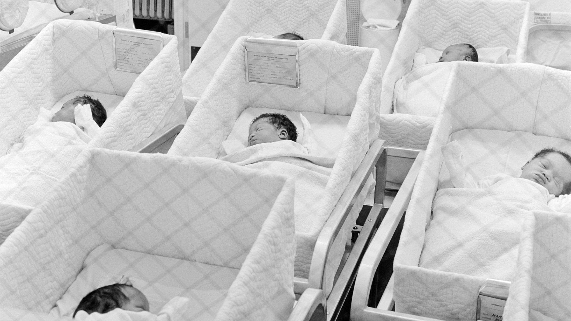 The Very Real, Very Dangerous Coming Assault on Birthright Citizenship